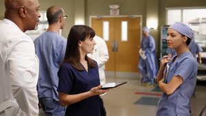 Anatomia de Grey 9×12