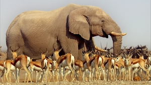 África Extraordinária