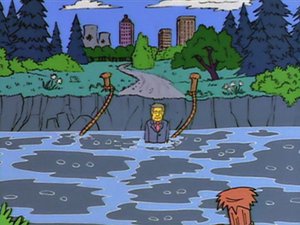 Os Simpsons 5×20