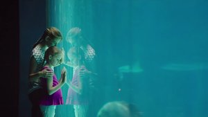 Milagres do Paraíso