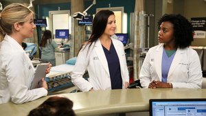 Grey’s Anatomy 13×13