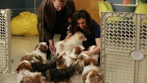 Anatomia de Grey 12×14