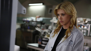 Agentes da S.H.I.E.L.D. 3×4