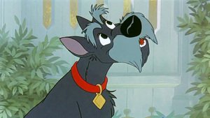 A Dama e o Vagabundo