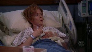 Dois Homens e Meio 2×14