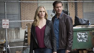 Diários de Um Vampiro 7×20