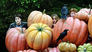 Harry Potter e o Prisioneiro de Azkaban