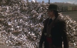 O Grande Búfalo Branco