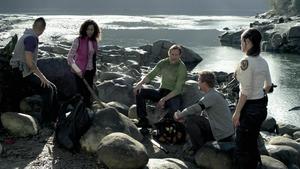 Demônios da Tasmânia