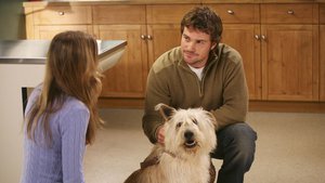 Anatomia de Grey 2×23