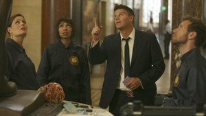 Bones 7×6
