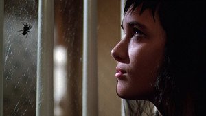 Os Fantasmas se Divertem