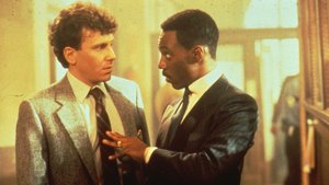 Um Tira da Pesada II