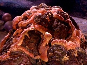 Jornada nas Estrelas: A Série Original 1×25