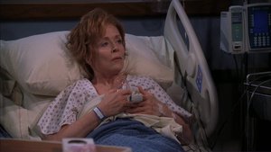 Dois Homens e Meio 2×14