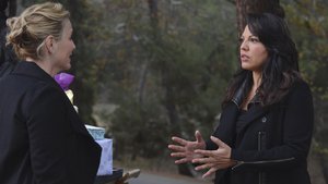 Anatomia de Grey 10×13