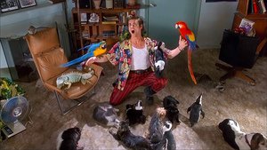 Ace Ventura: Um Detetive Diferente