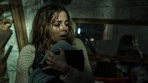 A Maldição da Floresta