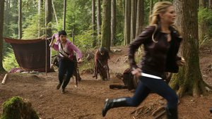 Once Upon a Time 2×8