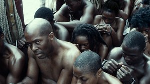 À Procura da Liberdade