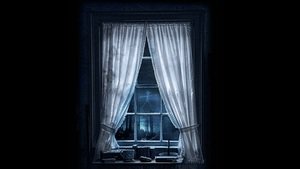 A Maldição da Floresta