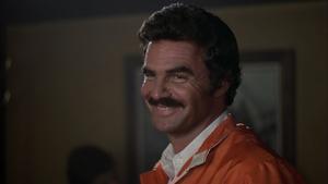 Quem Não Corre, Voa