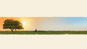 Orgulho e Preconceito