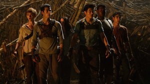 Maze Runner – Correr ou Morrer