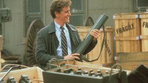 Um Tira da Pesada II