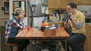 A Teoria do Big Bang  8×21