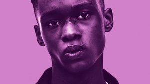Moonlight: Sob a Luz do Luar