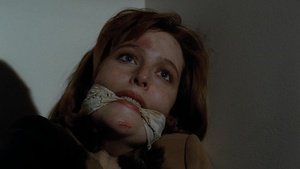 Ficheiros Secretos   2×13