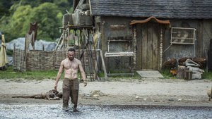 Vikings 3×6
