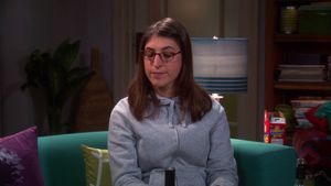 A Teoria do Big Bang  4×8