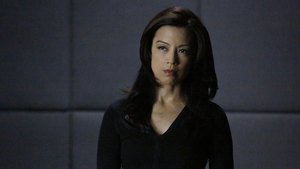 Agentes da S.H.I.E.L.D. 2×16