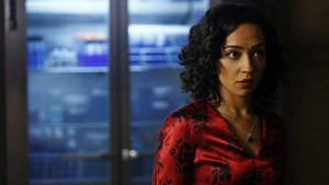 Agentes da S.H.I.E.L.D. 1×18