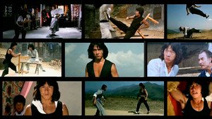 O Jovem Mestre do Kung Fu