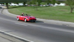 Curtindo a Vida Adoidado