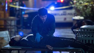 Grimm 2×13