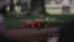 Anatomia de Grey 6×1