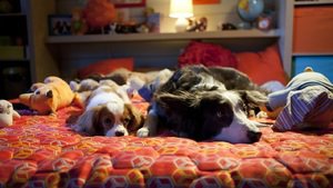 Patas, Ossos e Rock’n’Roll