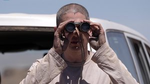 Prison Break: Em Busca Da Verdade 5×6