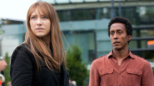 Fringe 3×1