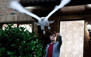 Harry Potter e as Relíquias da Morte: Parte 1