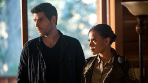 Grimm 4×18