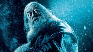 Harry Potter e o Enigma do Príncipe