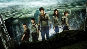 Maze Runner – Correr ou Morrer
