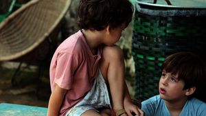 Meu Pé de Laranja Lima