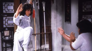 O Jovem Mestre do Kung Fu