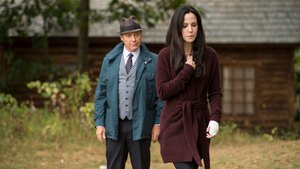 The Blacklist 2×4